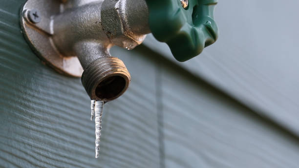 Professional Plumbing in Walford, IA